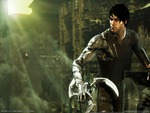 Dark sector