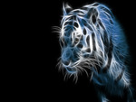 Tiger Fractal in Blue