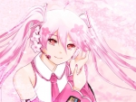 sakura miku