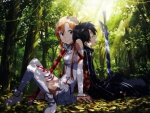 Asuna â™¡ Kirito