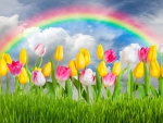 Spring background