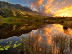 South Africa- reflection