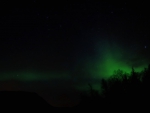northern lights over forest