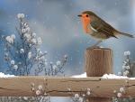 Winter Bird