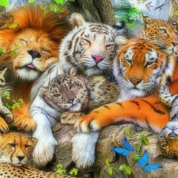 â˜…Big Wild Cat Napâ˜…