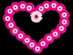â™¥ Pink Daisy Heart â™¥