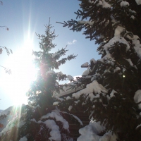 hei.sunshine good time per bella vita... ,,,