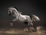Painting-Horse-