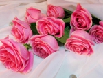 beautiful pink roses bouquet