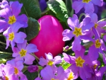 Easter Egg and Flowers
