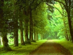 Green way