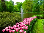 Keukenhof park