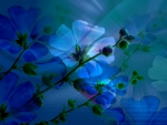 Blue flowers