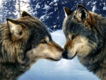 Loving wolves