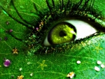 Green eye
