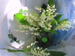 Lilies of the valley