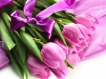Bouquet of tulips