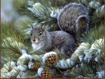 SQUIRREL IN A PINE TREE