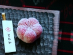 Japanese Wagashi ~ Plum Blossom with Frost ~ Late Winter Theme