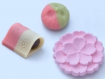 Sakura Spring Themed Wagashi Traditional Japanese Sweets
