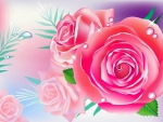 ..Pink Roses..