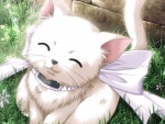 Anime kitty