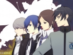 PERSONA a Path Of the Wild Card