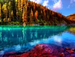 â˜…Wonderland of Lakeâ˜…