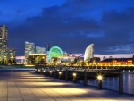 Yokohama Night