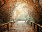 Autumn Path
