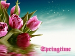 â™¥ Springtime â™¥