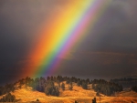 Afternoon Rainbow