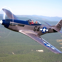 p51d mustang