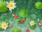 Koi Pond
