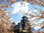 Himeji Castle