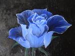 Blue Rose in Canvas
