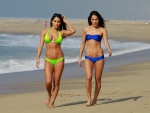 The Bella Twins