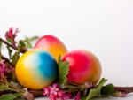 Colorful Easter Eggs