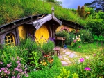 Hobbiton-new-zealand