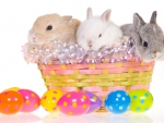 Easter Bunnies