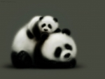 Cute panda bears