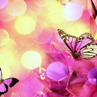 â˜…Purple in Springtimeâ˜…