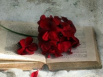 à® One good book and red flowersà®