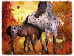 An Appaloosa Mare and Her Foal
