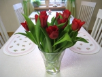 Red Tulips in a Vase