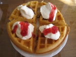 Belgium Waffle