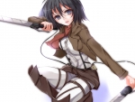 Mikasa