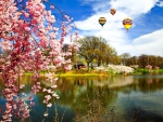 Cherry blossoms festival