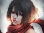 Mikasa