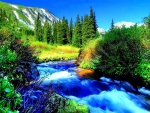Blue Mountian Stream